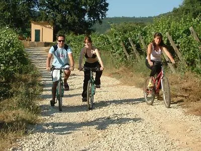 Alojamento de Turismo Rural La Pisana *