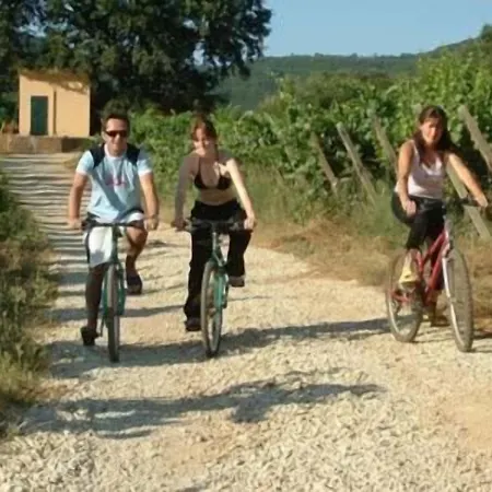 Farm stay Agriturismo La Pisana *