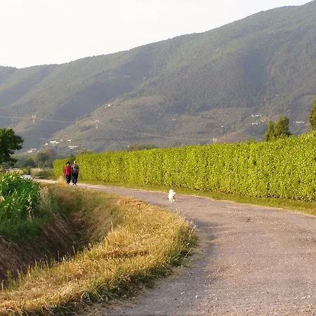 Farm stay Agriturismo La Pisana *