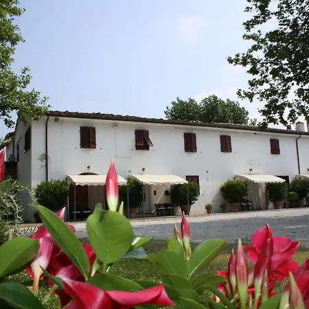 La Pisana